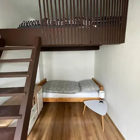 Francis - Lazenske Centrum Apartmán Karlovy Vary